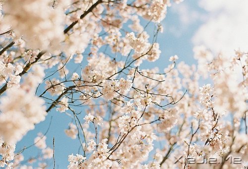 因为知足,所以更接近幸福 (4)