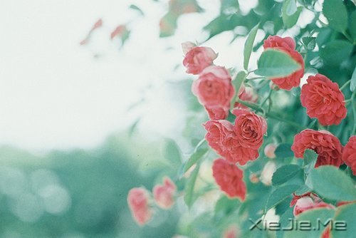 因为知足,所以更接近幸福 (10)