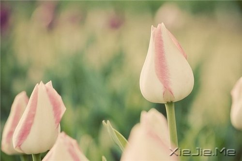 留下的,才是人生 (2)