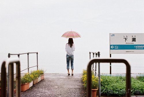 晚安心语:不要因为难过,就忘了散发芳香 (3)