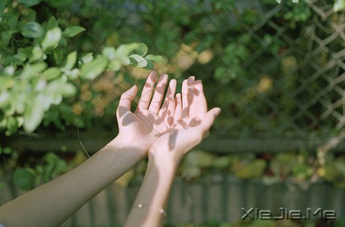 早安心语:走自己的路,做最好的自己 (2)