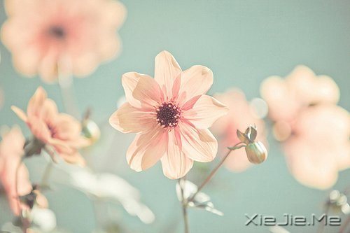 早安心语:收拾心情,重新上路 (5)