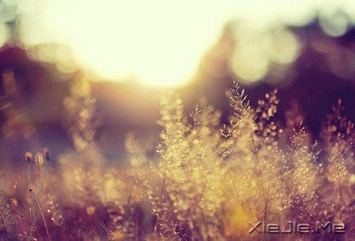 在时间的渡口,我们皆是过客 (6)