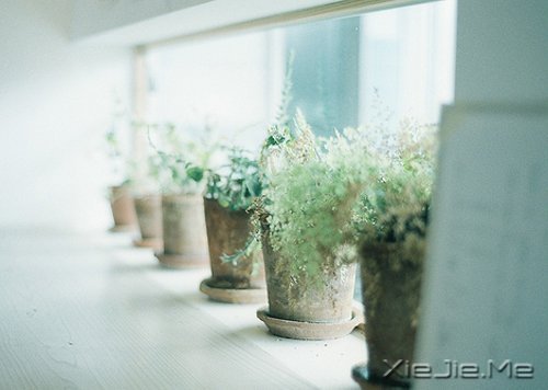 在时间的渡口,我们皆是过客 (12)