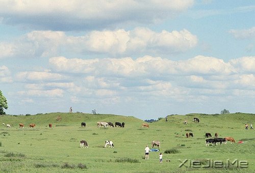 幸福是自己的,永远不要拿别人来做参照 (3)