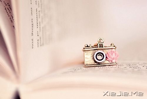 晚安心语:人生活的是经历,幸福总是在路上 (10)