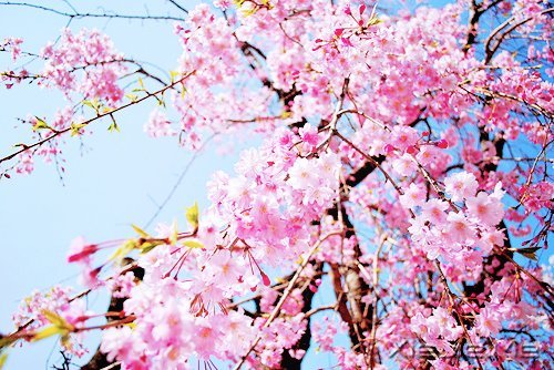 2014,用12个月来改变自己 (7)