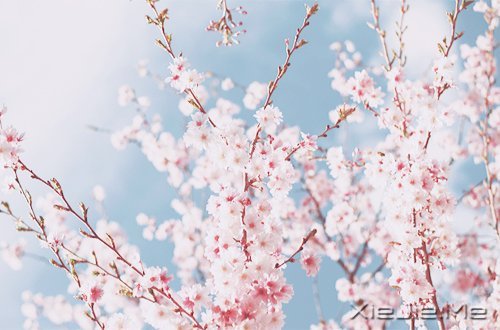 马年和自己的10个约定 (3)