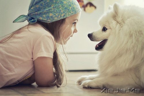 孩子们眼中的爱