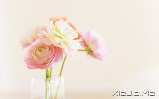 如果要选,就选你目前最中意的最中意